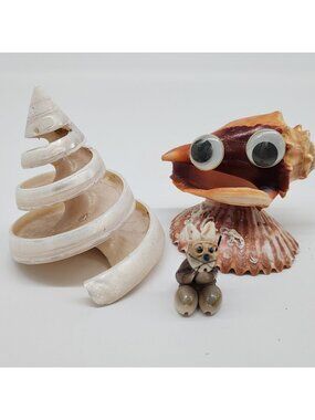 Unique Shell Figure Googly Eyes Bunny Rabbit Spiral Cone Decor Tectus Pyramis